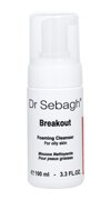 Breakout Foaming Cleanser